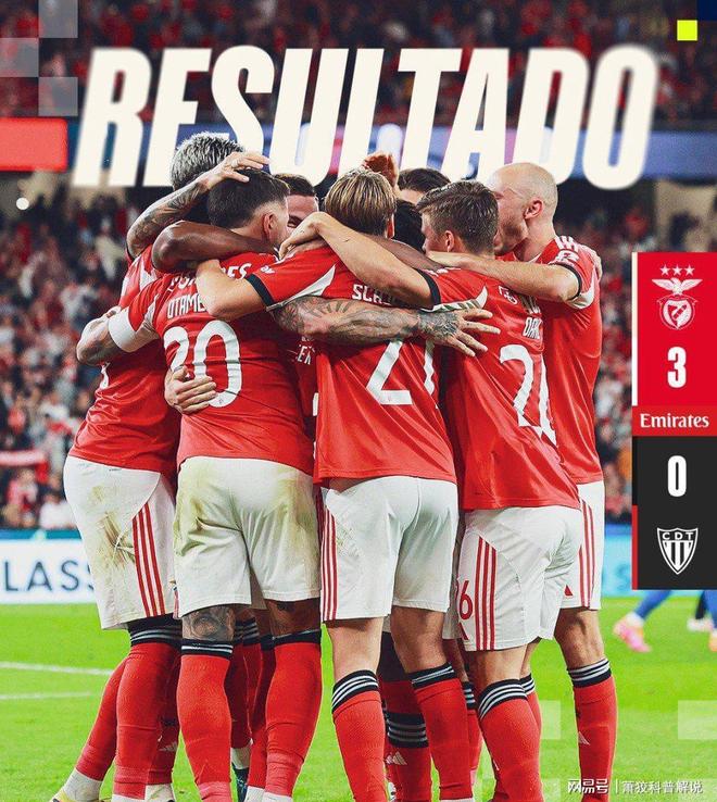 赛地聚焦——欧篮联转会期热度飙升，本菲卡状态回暖，赛场秩序良好，心理建设被强调(费内巴切篮球队欧篮联)